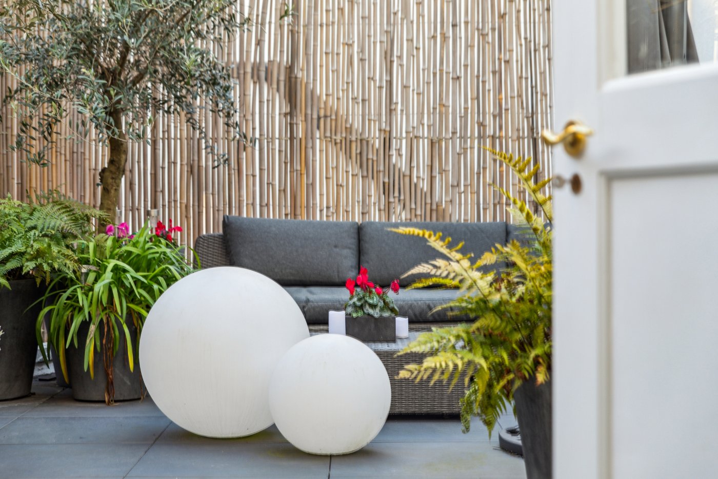 Demised Terrace
